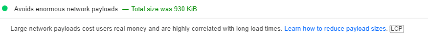 Évitez d’énormes charges utiles de réseau (Avoids enormous network payloads) en vert dans l’audit “Passed” 
