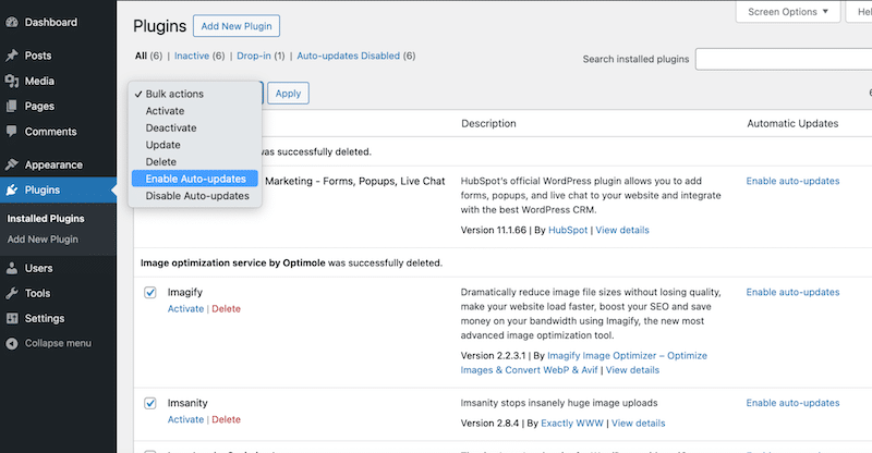 Enabling auto-updates - Source: the WP dashboard
