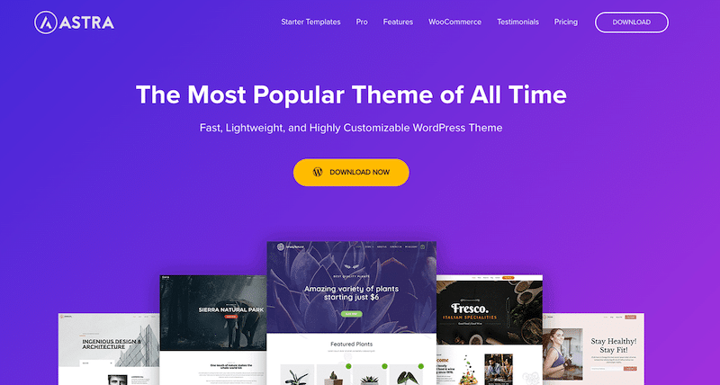 Lightweight responsive theme - Source: Astra 