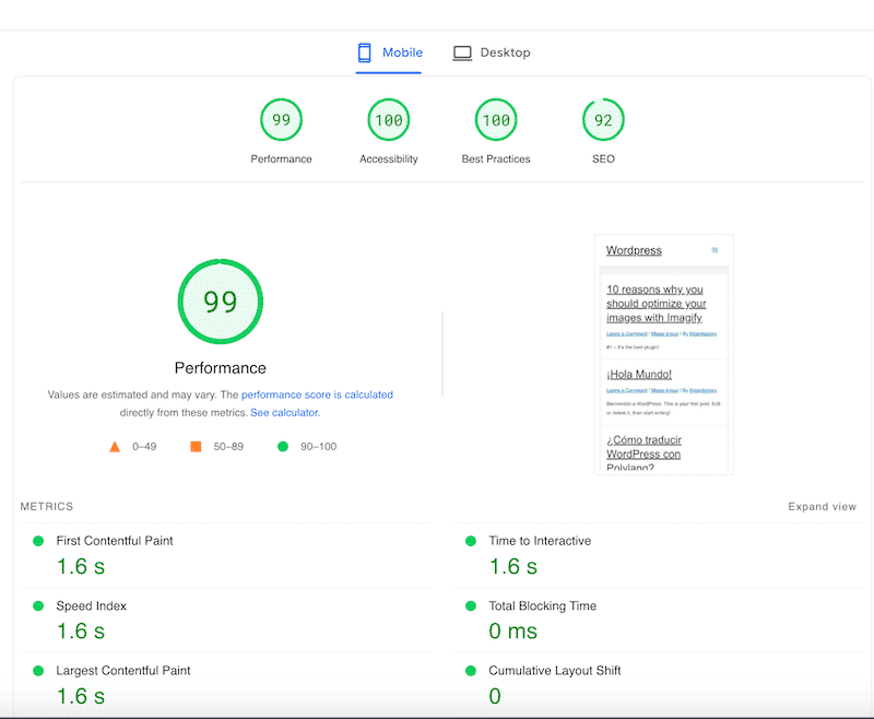 Performance results with WP Rocket - Source: PageSpeed Insights