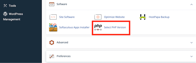 Software submenu to check the current PHP version - Source: cPanel
