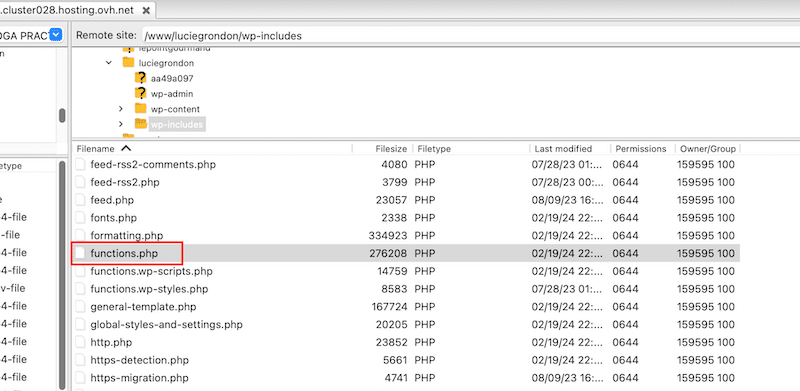 The functions.php file - Source: FTP
