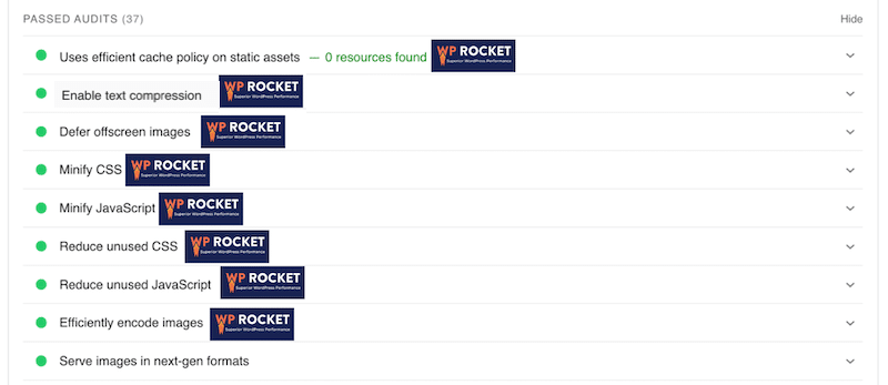 WP Rocket helps to optimize the code and pass the audit on PageSpeed Insights - Source: PageSpeed Insights 
